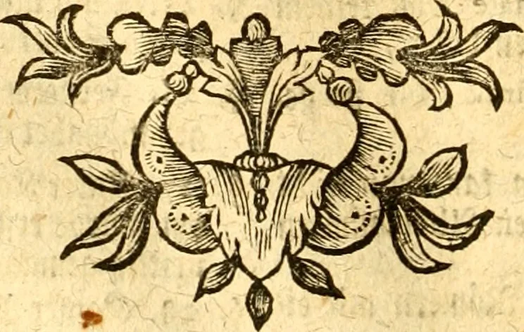 An illustration from Allgemeine Geschichte Würtenbergs und dessen angränzender Gebiethe und Gegenden, nach den merkwürdigsten Veränderungen in Staats-Kirchen und Burgerlichen Wesen : Alles mit nöthigen Documenten bewiesen und mit vielen Kupfern gezieret, 1764, leaf 131