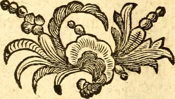 An illustration from Allgemeine Geschichte Würtenbergs und dessen angränzender Gebiethe und Gegenden, nach den merkwürdigsten Veränderungen in Staats-Kirchen und Burgerlichen Wesen : Alles mit nöthigen Documenten bewiesen und mit vielen Kupfern gezieret, 1764, leaf 25