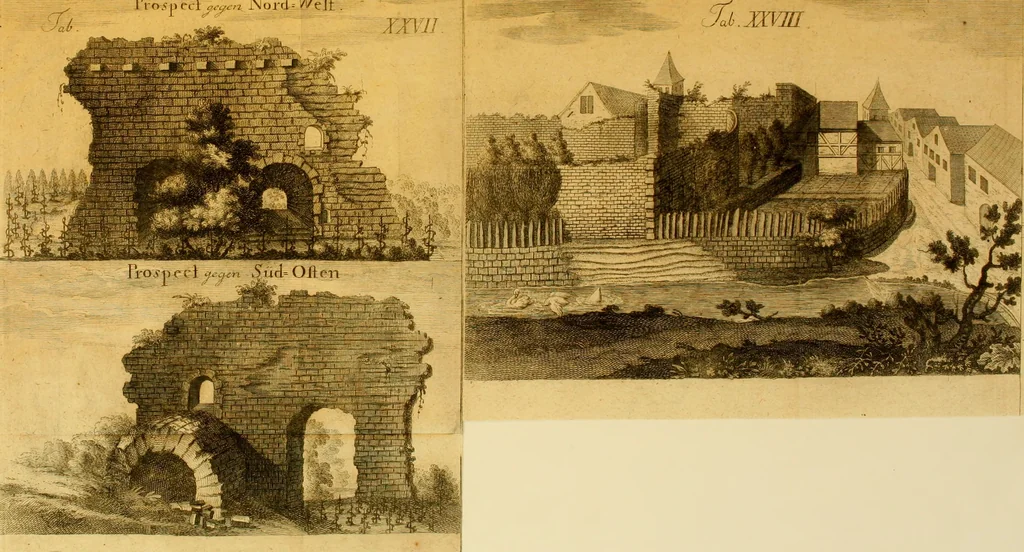 An illustration from Allgemeine Geschichte Würtenbergs und dessen angränzender Gebiethe und Gegenden, nach den merkwürdigsten Veränderungen in Staats-Kirchen und Burgerlichen Wesen : Alles mit nöthigen Documenten bewiesen und mit vielen Kupfern gezieret, 1764, leaf 274
