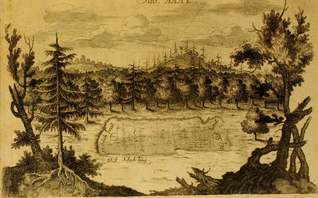 An illustration from Allgemeine Geschichte Würtenbergs und dessen angränzender Gebiethe und Gegenden, nach den merkwürdigsten Veränderungen in Staats-Kirchen und Burgerlichen Wesen : Alles mit nöthigen Documenten bewiesen und mit vielen Kupfern gezieret, 1764, leaf 692
