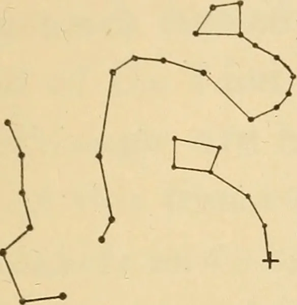 An illustration from All night with the stars, 1920, leaf 20