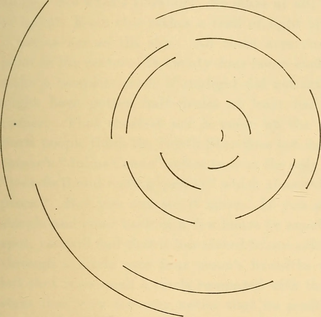 An illustration from All night with the stars, 1920, leaf 24