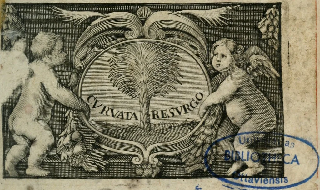 An illustration from Almahide, ou, L'esclave reine : dédiée à Mademoiselle, 1663, leaf 6
