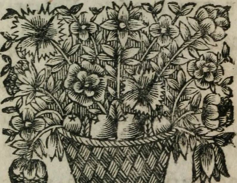 An illustration from Almahide, ou, L'esclave reine : dédiée à Mademoiselle, 1663, leaf 295