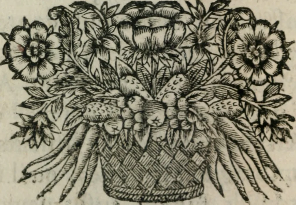 An illustration from Almahide, ou, L'esclave reine : dédiée à Mademoiselle, 1663, leaf 399