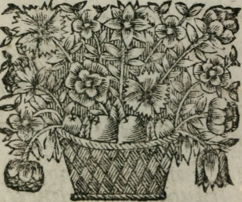 An illustration from Almahide, ou, L'esclave reine : dédiée à Mademoiselle, 1663, leaf 401