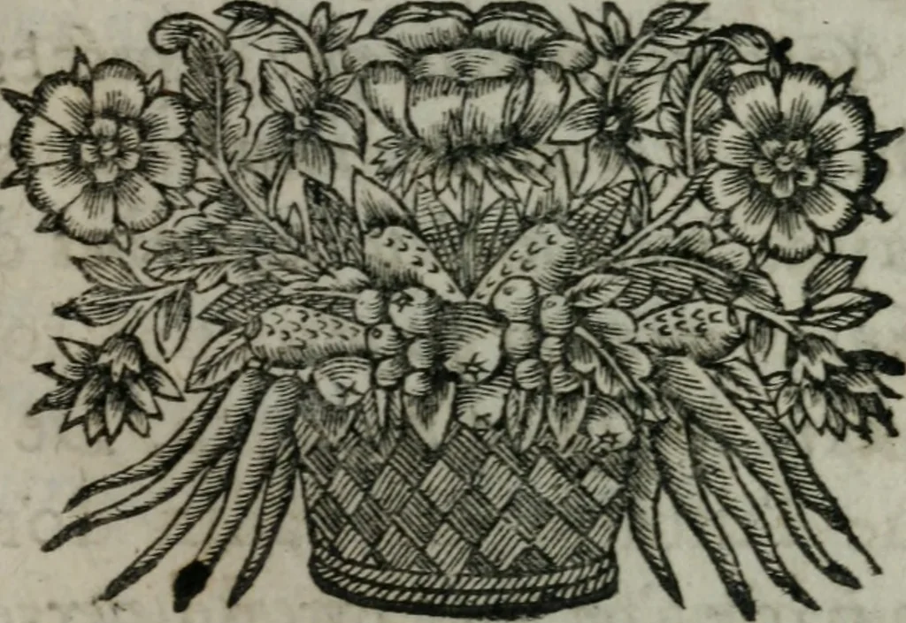 An illustration from Almahide, ou, L'esclave reine : dédiée à Mademoiselle, 1663, leaf 484