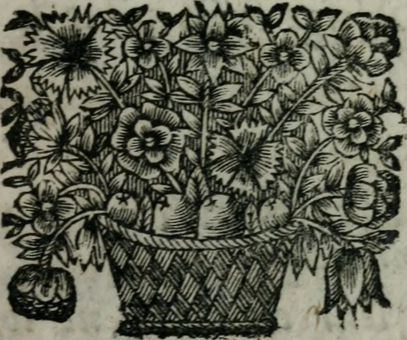 An illustration from Almahide, ou, L'esclave reine : dédiée à Mademoiselle, 1663, leaf 516
