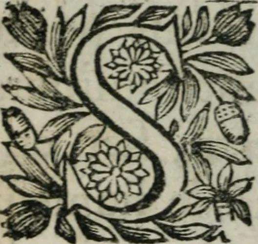An illustration from Almahide, ou, L'esclave reine : dédiée à Mademoiselle, 1663, leaf 579