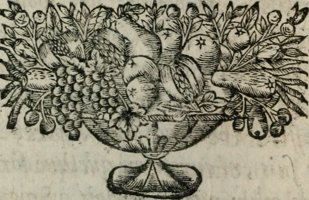 An illustration from Almahide, ou, L'esclave reine : dédiée à Mademoiselle, 1663, leaf 635