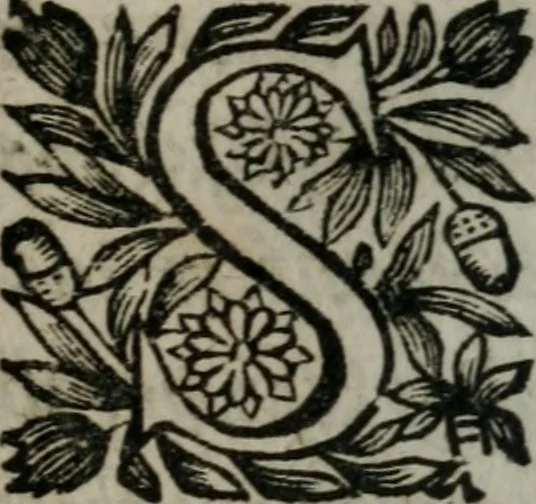 An illustration from Almahide, ou, L'esclave reine : dédiée à Mademoiselle, 1663, leaf 638