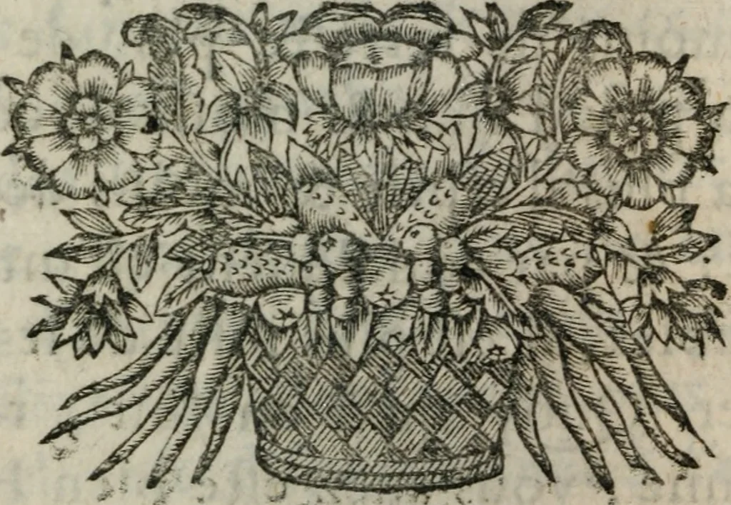 An illustration from Almahide, ou, L'esclave reine : dédiée à Mademoiselle, 1663, leaf 747