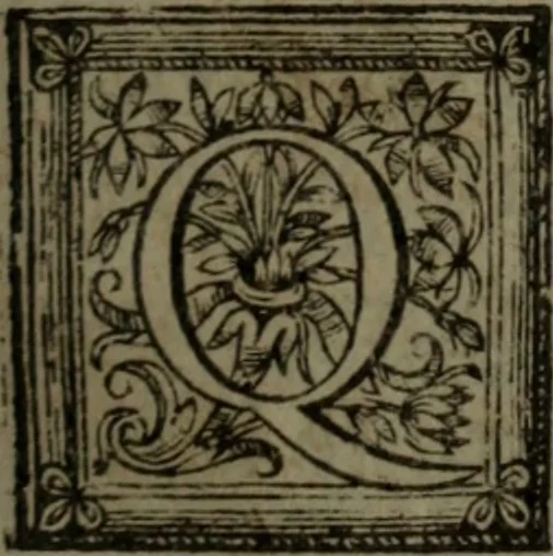 An illustration from Almahide, ou, L'esclave reine : dédiée à Mademoiselle, 1663, leaf 20