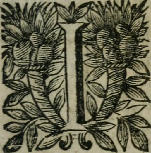 An illustration from Almahide, ou, L'esclave reine : dédiée à Mademoiselle, 1663, leaf 12