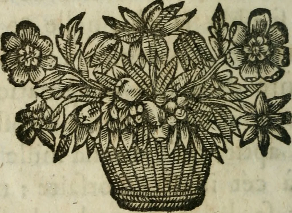 An illustration from Almahide, ou, L'esclave reine : dédiée à Mademoiselle, 1663, leaf 187