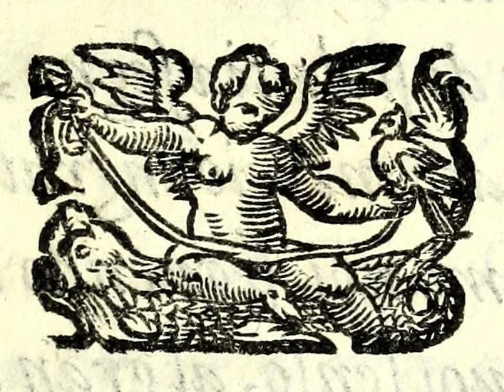 An illustration from Almida : tragedia, 1605, leaf 153
