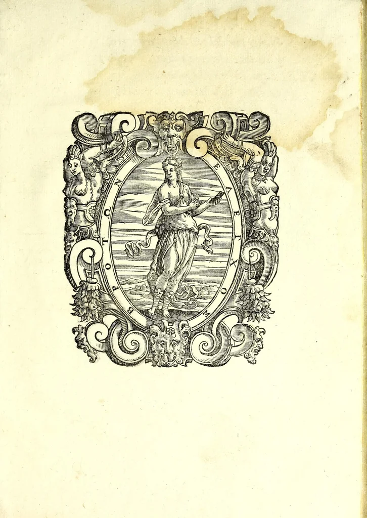 An illustration from Almida : tragedia, 1605, leaf 191
