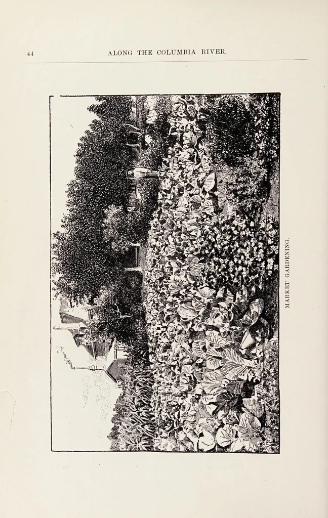 An illustration from Along the Columbia River, 1890, leaf 44