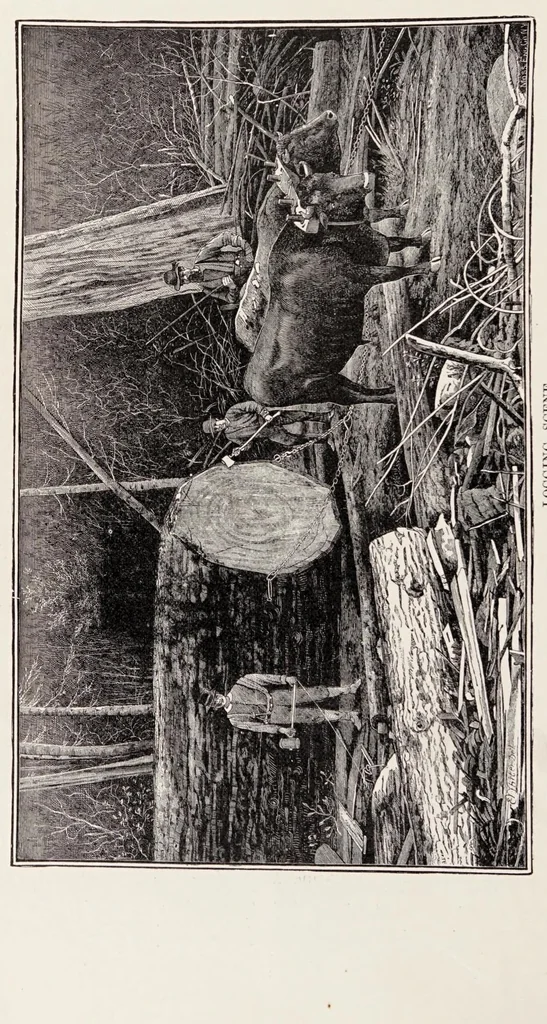 An illustration from Along the Columbia River, 1890, leaf 48