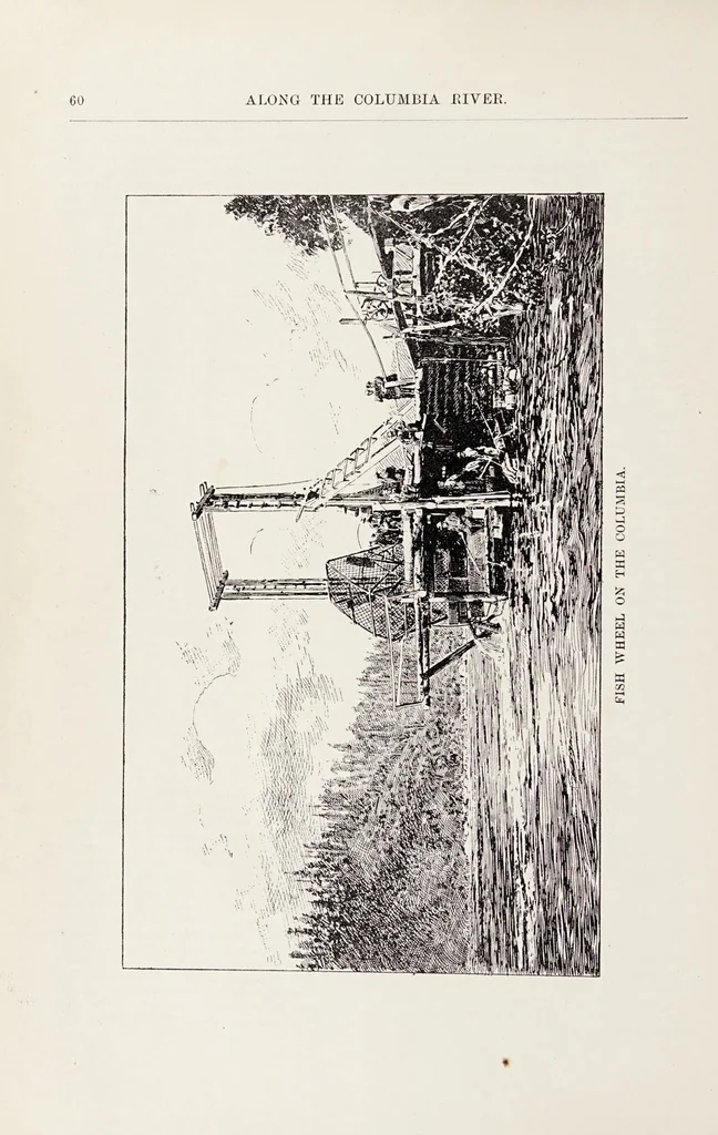 An illustration from Along the Columbia River, 1890, leaf 60