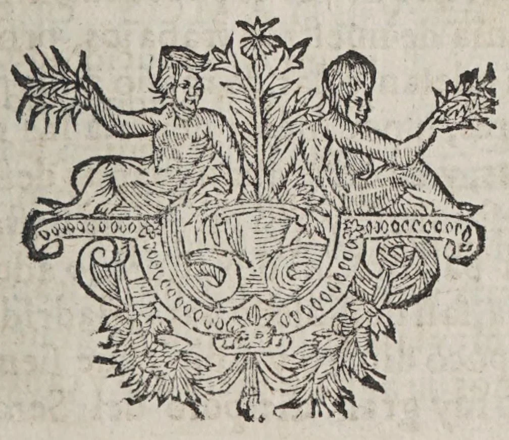An illustration from Alonso moço de muchos amos, 1625, leaf 159