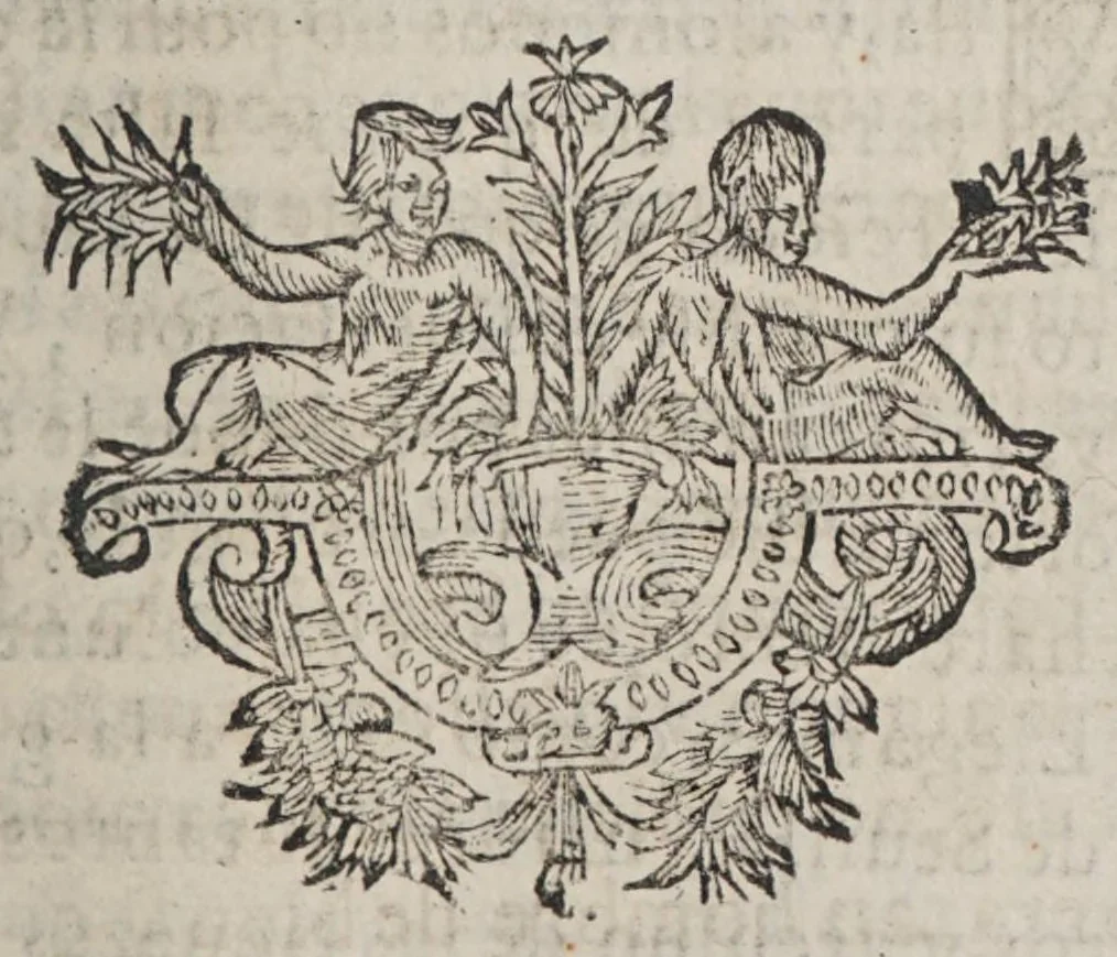 An illustration from Alonso moço de muchos amos, 1625, leaf 219