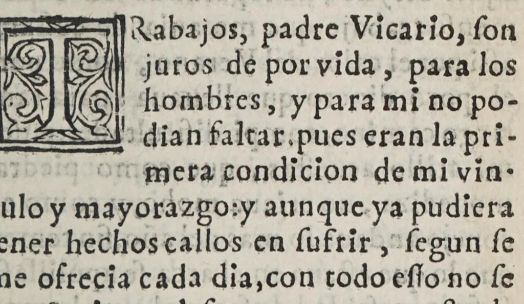 An illustration from Alonso moço de muchos amos, 1625, leaf 273