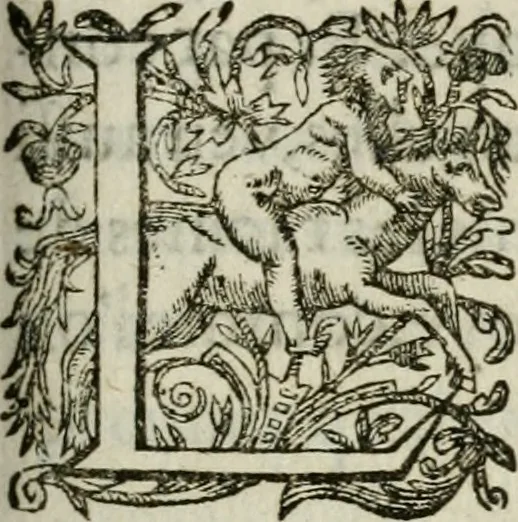 An illustration from Alphabet anatomic, avqvel est contenve l'explication exacte des parties dv corps hvmain, et reduites en tables selon l'ordre de dissection ordinaire. Auec l'osteologie, & plusieurs obseruations particulieres, 1594, leaf 102
