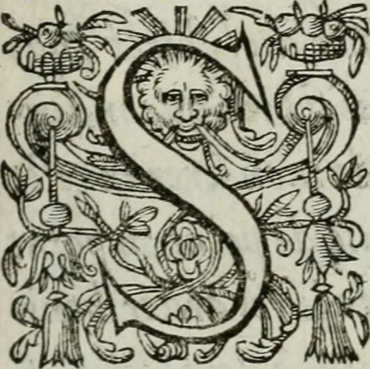 An illustration from Alphabet anatomic, avqvel est contenve l'explication exacte des parties dv corps hvmain, et reduites en tables selon l'ordre de dissection ordinaire. Auec l'osteologie, & plusieurs obseruations particulieres, 1594, leaf 6
