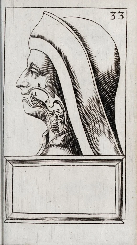 An illustration from Alphabeti verè naturalis Hebraici brevissima delineatio : quae simul methodum suppeditat, juxta quam qui surdi nati sunt sic informari possunt, ut non alios saltem loquentes intelligant, sed & ipsi ad sermonis usum perveniant, 1667, leaf 103
