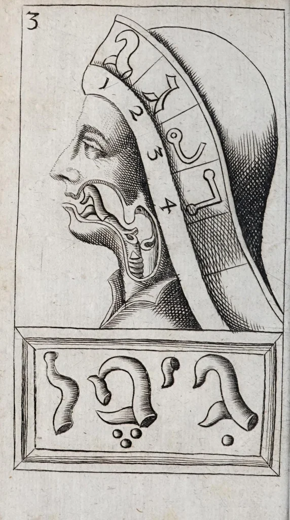 An illustration from Alphabeti verè naturalis Hebraici brevissima delineatio : quae simul methodum suppeditat, juxta quam qui surdi nati sunt sic informari possunt, ut non alios saltem loquentes intelligant, sed & ipsi ad sermonis usum perveniant, 1667, leaf 44