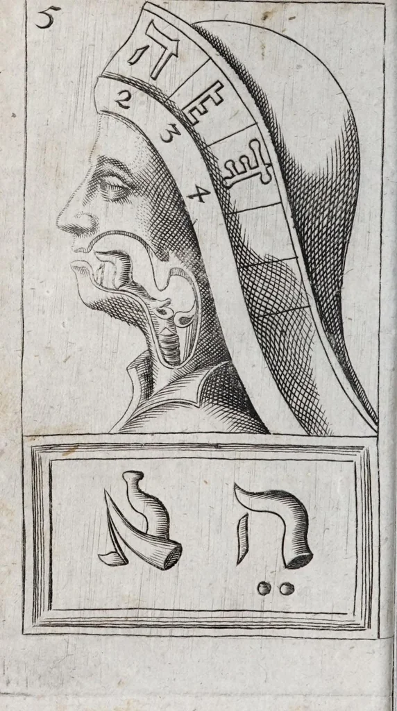An illustration from Alphabeti verè naturalis Hebraici brevissima delineatio : quae simul methodum suppeditat, juxta quam qui surdi nati sunt sic informari possunt, ut non alios saltem loquentes intelligant, sed & ipsi ad sermonis usum perveniant, 1667, leaf 48