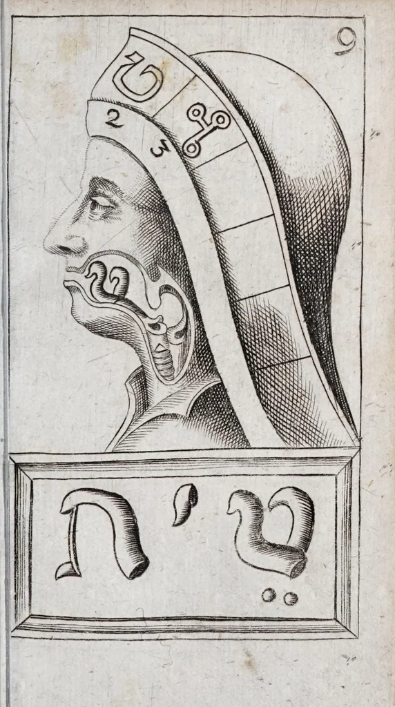 An illustration from Alphabeti verè naturalis Hebraici brevissima delineatio : quae simul methodum suppeditat, juxta quam qui surdi nati sunt sic informari possunt, ut non alios saltem loquentes intelligant, sed & ipsi ad sermonis usum perveniant, 1667, leaf 55