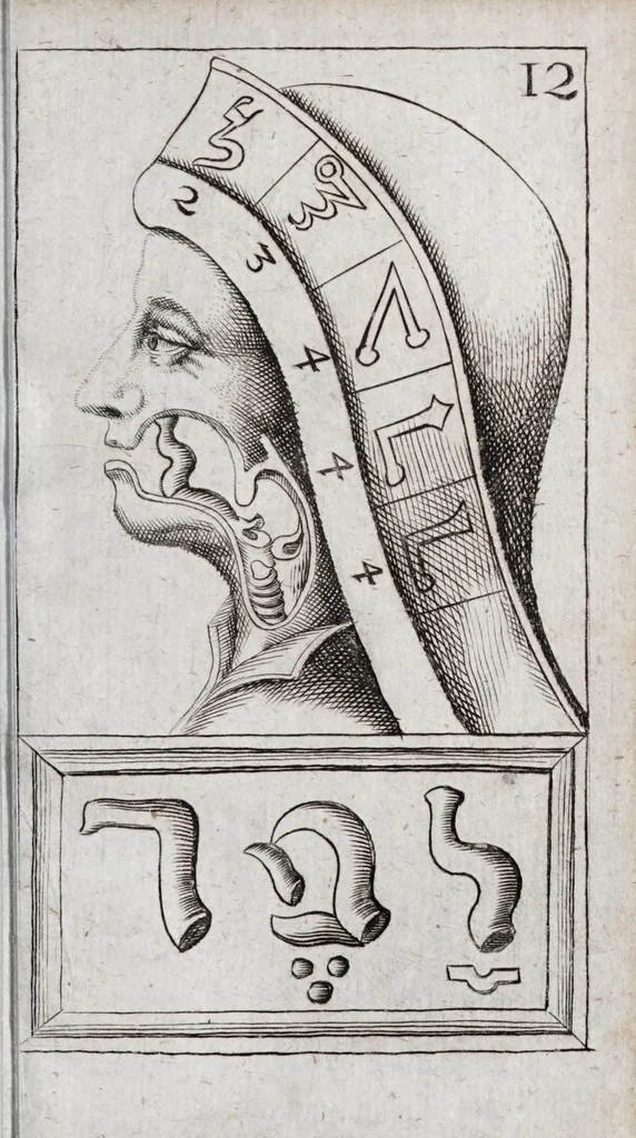 An illustration from Alphabeti verè naturalis Hebraici brevissima delineatio : quae simul methodum suppeditat, juxta quam qui surdi nati sunt sic informari possunt, ut non alios saltem loquentes intelligant, sed & ipsi ad sermonis usum perveniant, 1667, leaf 61