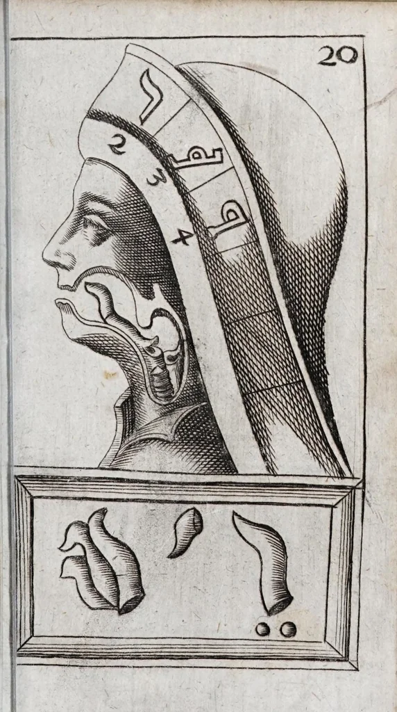 An illustration from Alphabeti verè naturalis Hebraici brevissima delineatio : quae simul methodum suppeditat, juxta quam qui surdi nati sunt sic informari possunt, ut non alios saltem loquentes intelligant, sed & ipsi ad sermonis usum perveniant, 1667, leaf 77