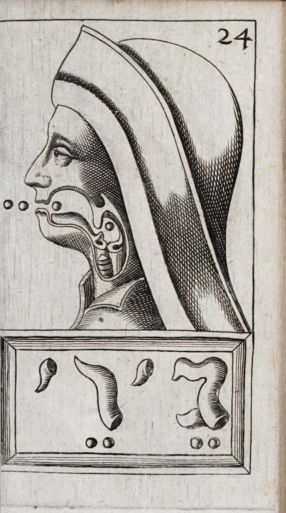 An illustration from Alphabeti verè naturalis Hebraici brevissima delineatio : quae simul methodum suppeditat, juxta quam qui surdi nati sunt sic informari possunt, ut non alios saltem loquentes intelligant, sed & ipsi ad sermonis usum perveniant, 1667, leaf 85