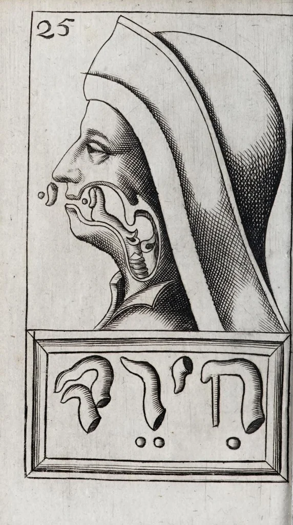 An illustration from Alphabeti verè naturalis Hebraici brevissima delineatio : quae simul methodum suppeditat, juxta quam qui surdi nati sunt sic informari possunt, ut non alios saltem loquentes intelligant, sed & ipsi ad sermonis usum perveniant, 1667, leaf 88