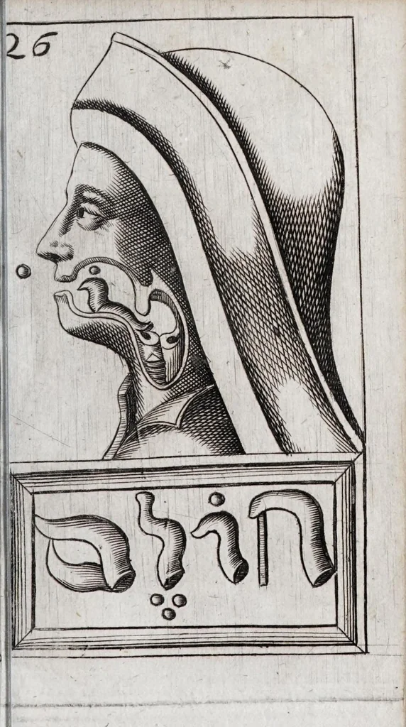 An illustration from Alphabeti verè naturalis Hebraici brevissima delineatio : quae simul methodum suppeditat, juxta quam qui surdi nati sunt sic informari possunt, ut non alios saltem loquentes intelligant, sed & ipsi ad sermonis usum perveniant, 1667, leaf 89