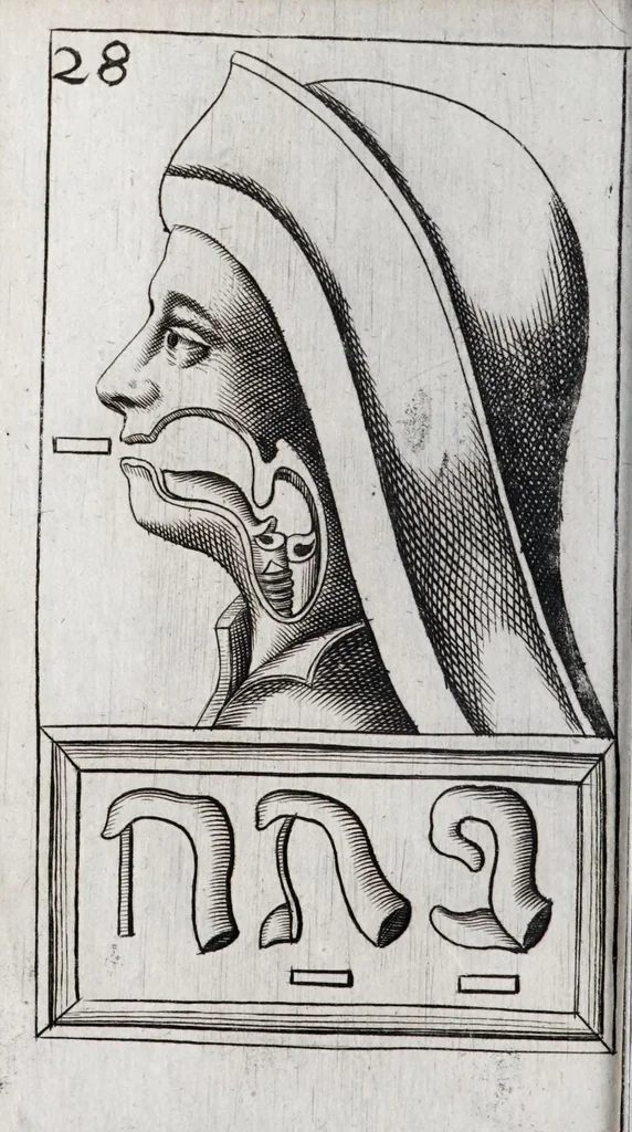 An illustration from Alphabeti verè naturalis Hebraici brevissima delineatio : quae simul methodum suppeditat, juxta quam qui surdi nati sunt sic informari possunt, ut non alios saltem loquentes intelligant, sed & ipsi ad sermonis usum perveniant, 1667, leaf 94