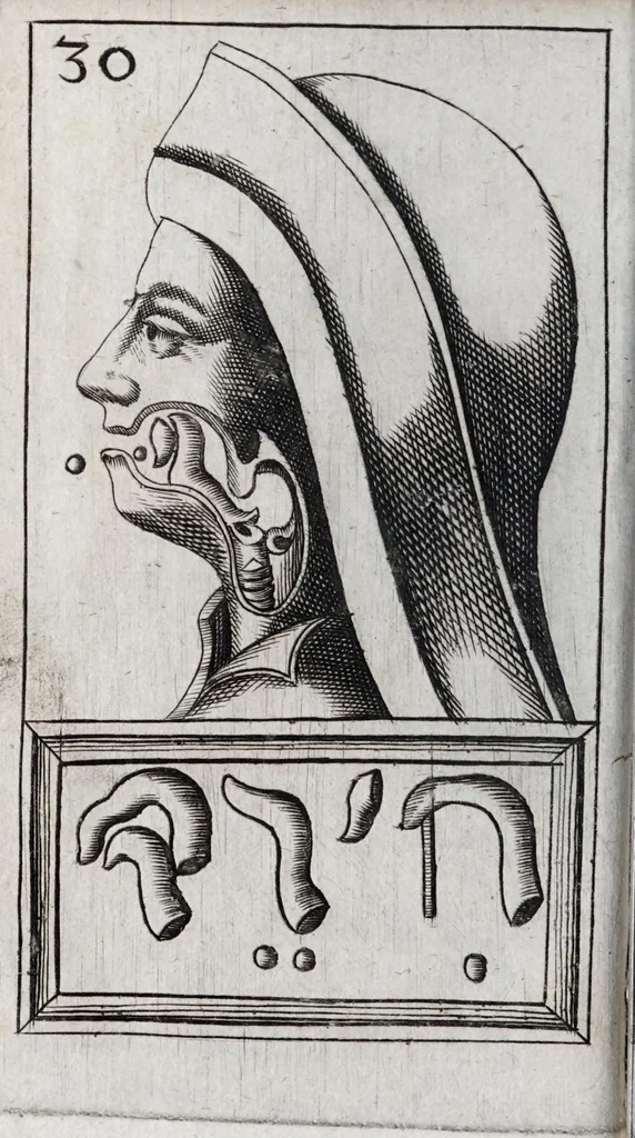 An illustration from Alphabeti verè naturalis Hebraici brevissima delineatio : quae simul methodum suppeditat, juxta quam qui surdi nati sunt sic informari possunt, ut non alios saltem loquentes intelligant, sed & ipsi ad sermonis usum perveniant, 1667, leaf 98