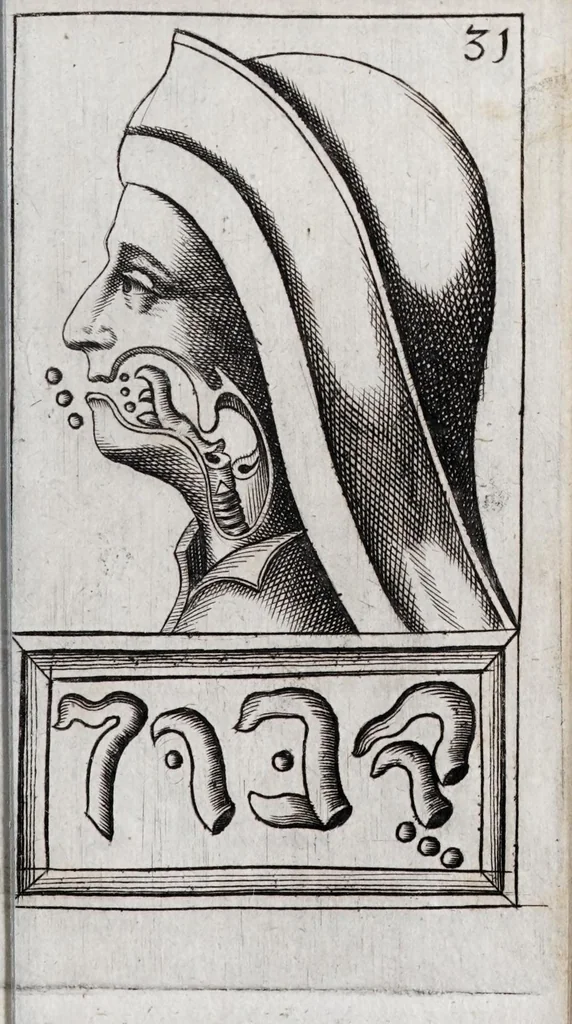 An illustration from Alphabeti verè naturalis Hebraici brevissima delineatio : quae simul methodum suppeditat, juxta quam qui surdi nati sunt sic informari possunt, ut non alios saltem loquentes intelligant, sed & ipsi ad sermonis usum perveniant, 1667, leaf 99