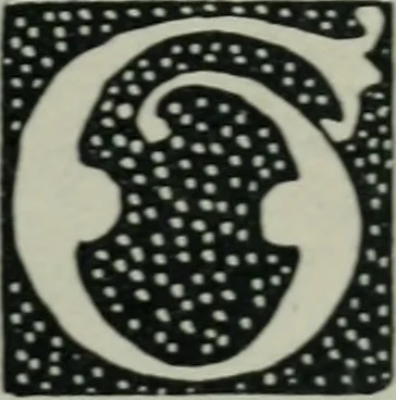 An illustration from Alphabets old and new, for the use of craftsmen : with an introductory essay on Art in the alphabet, 1898, leaf 134