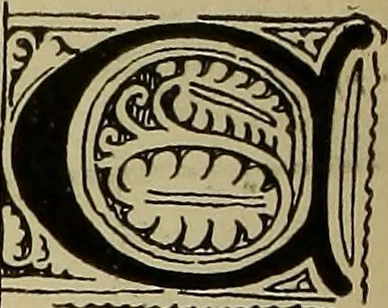 An illustration from Alphabets old and new, for the use of craftsmen, 1910, leaf 113