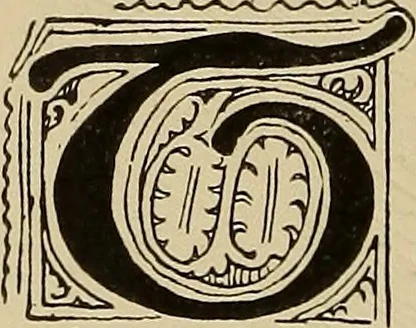 An illustration from Alphabets old and new, for the use of craftsmen, 1910, leaf 113
