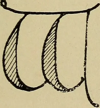An illustration from Alphabets old and new, for the use of craftsmen, 1910, leaf 118