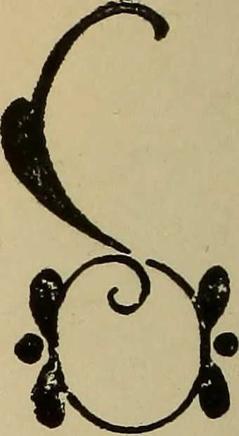 An illustration from Alphabets old and new, for the use of craftsmen, 1910, leaf 123
