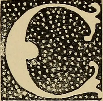 An illustration from Alphabets old and new, for the use of craftsmen, 1910, leaf 130