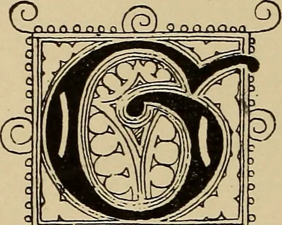 An illustration from Alphabets old and new, for the use of craftsmen, 1910, leaf 135