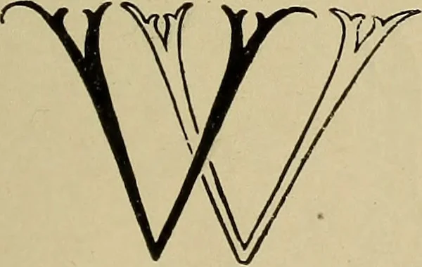 An illustration from Alphabets old and new, for the use of craftsmen, 1910, leaf 138