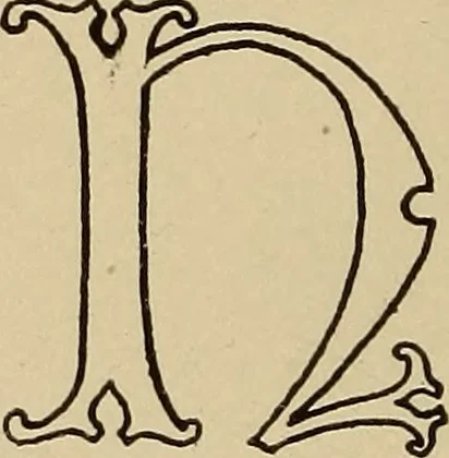 An illustration from Alphabets old and new, for the use of craftsmen, 1910, leaf 151